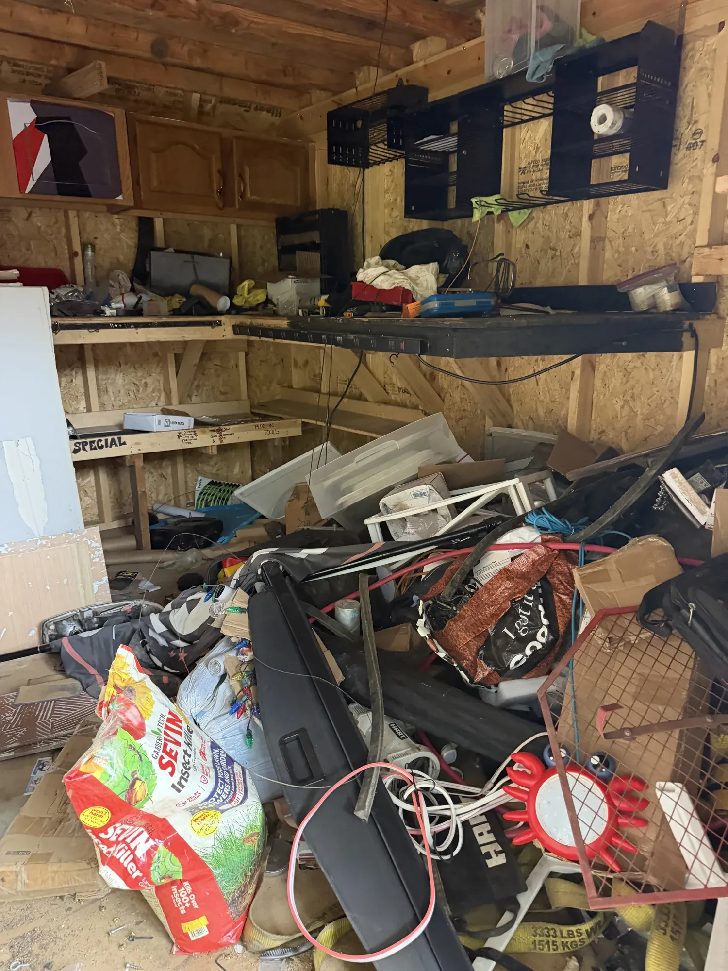 Shed interior packed with tools, shelving, cables and stored junk before cleanout